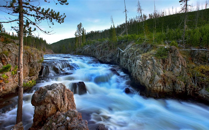 Rivière, arbres, rochers, nature Fonds d'écran, image
