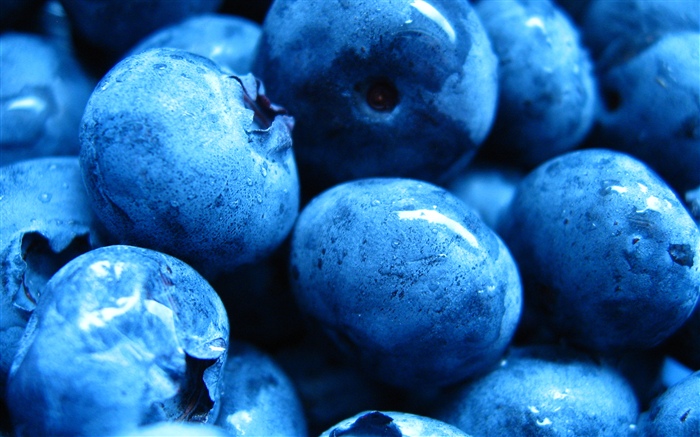Quelques bleuets, fruits frais Fonds d'écran, image