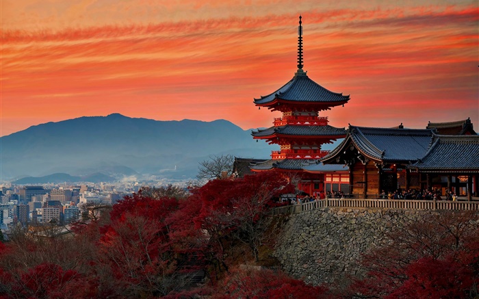 Japon, Kyoto, temple, automne, crépuscule Fonds d'écran, image