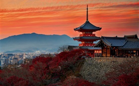 Japon, Kyoto, temple, automne, crépuscule