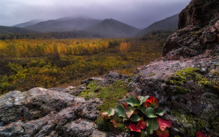 Montagnes, brouillard, pierres, forêt, automne Fonds d'écran, image