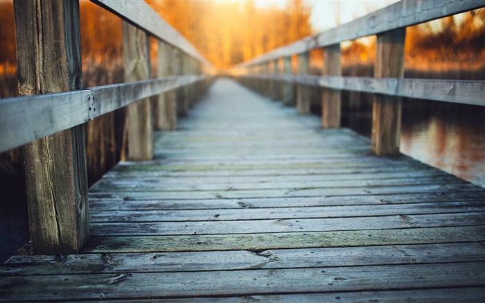 Bridge en bois, clôture, brumeux Fonds d'écran, image