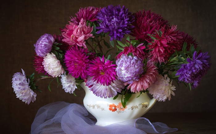 Fleurs d'asters, violet, rose, rouge, bouquet Fonds d'écran, image
